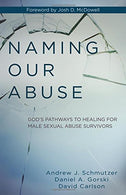 Naming Our Abuse: God's Pathways to Healing for Male Sexual Abuse Survivors